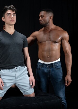 Stud Loads Vol. 8, Title: Stable Master