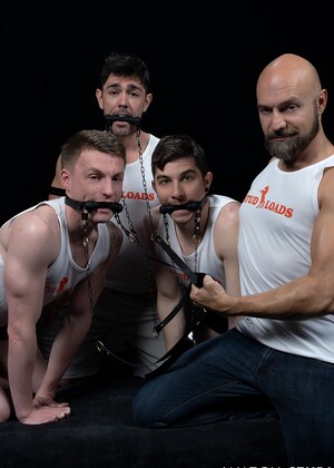 Stud Loads Vol. 4. Stable Master