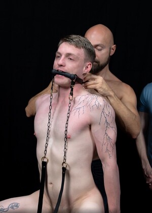 Stud Loads Vol. 4. Stable Master