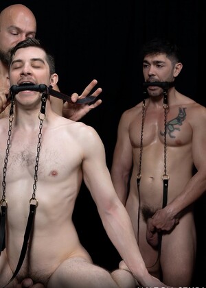 Stud Loads Vol. 4. Stable Master