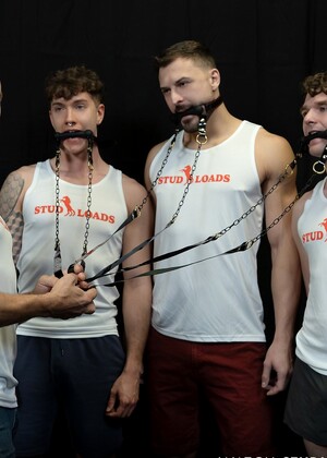 Stud Loads Vol. 7. Title: Stable Master