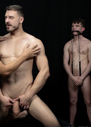 Stud Loads Vol. 7. Title: Stable Master