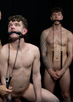 Stud Loads Vol. 7. Title: Stable Master