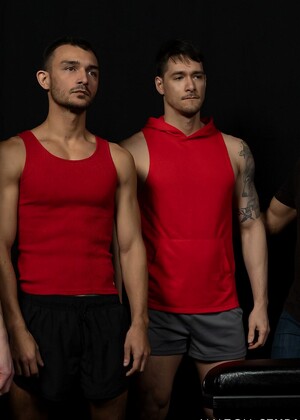 Stud Loads Vol.8, Title: Stallion Assessment