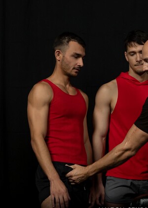 Stud Loads Vol.8, Title: Stallion Assessment