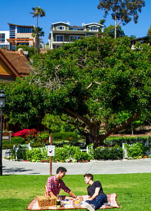 Picnic With the Crush