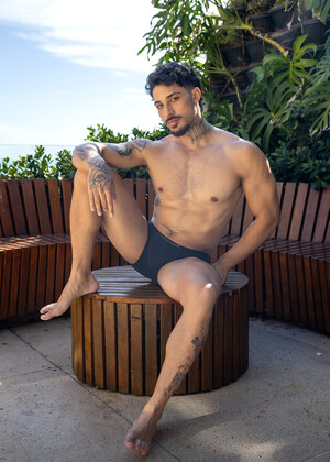 Sir Peter Bangs Brazil