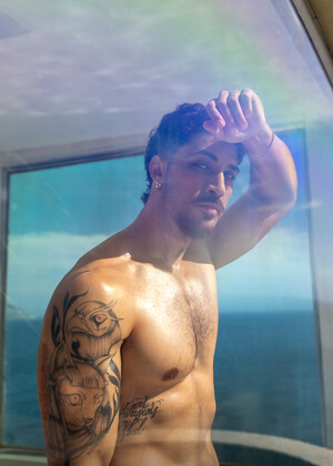 Sir Peter Bangs Brazil