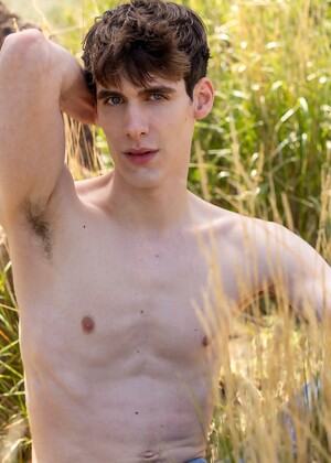 Introducing Ander