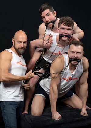 Stud Loads #10, Title: Mare Assessment