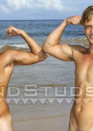 NEW Brotherly LOVE Valentine! The Wise "Asses" Brothers Return by Island Studs