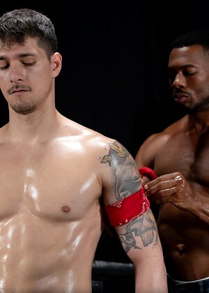 Stud Loads Vol. 12, Title: Marking the Stallions by StudLoads