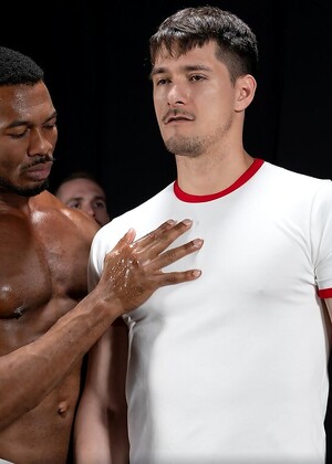 Stud Loads Vol. 12, Title: Marking the Stallions by StudLoads